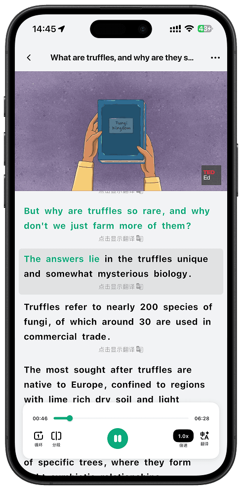ai-translate